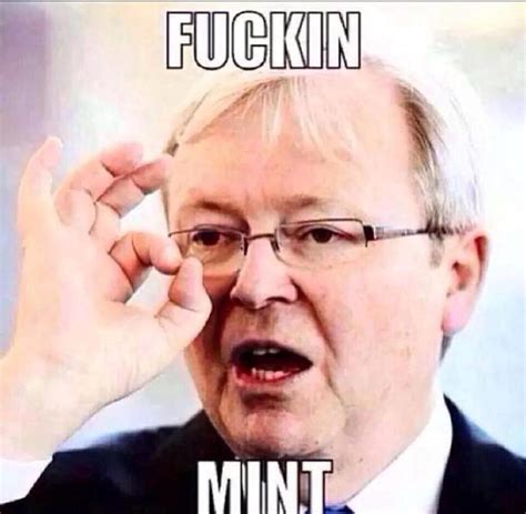 kevin rudd fuckin mint|The ‘F**king mint’ meme documents the struggle